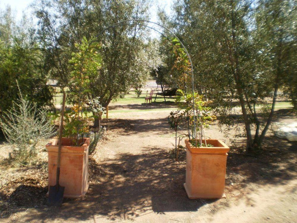 Grandhouse York Guesthouse Εξωτερικό φωτογραφία
