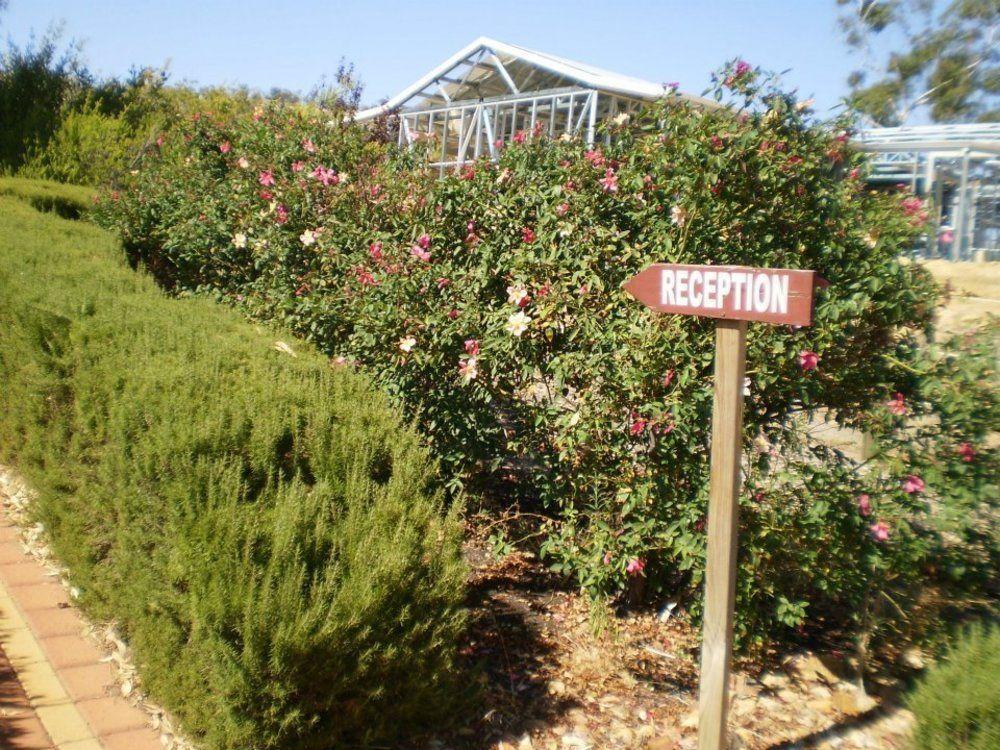 Grandhouse York Guesthouse Εξωτερικό φωτογραφία